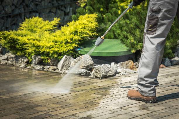 Best Pre-Holiday Cleaning  in Cutchogue, NY